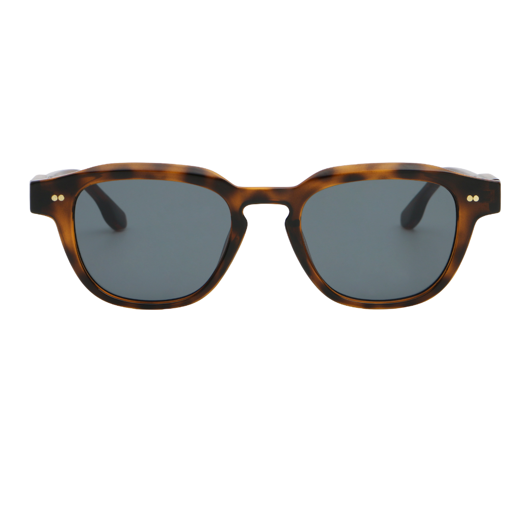 Byron - Brown Tortoise