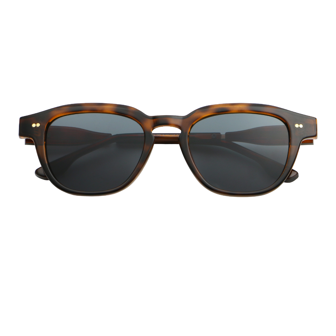 Byron - Brown Tortoise