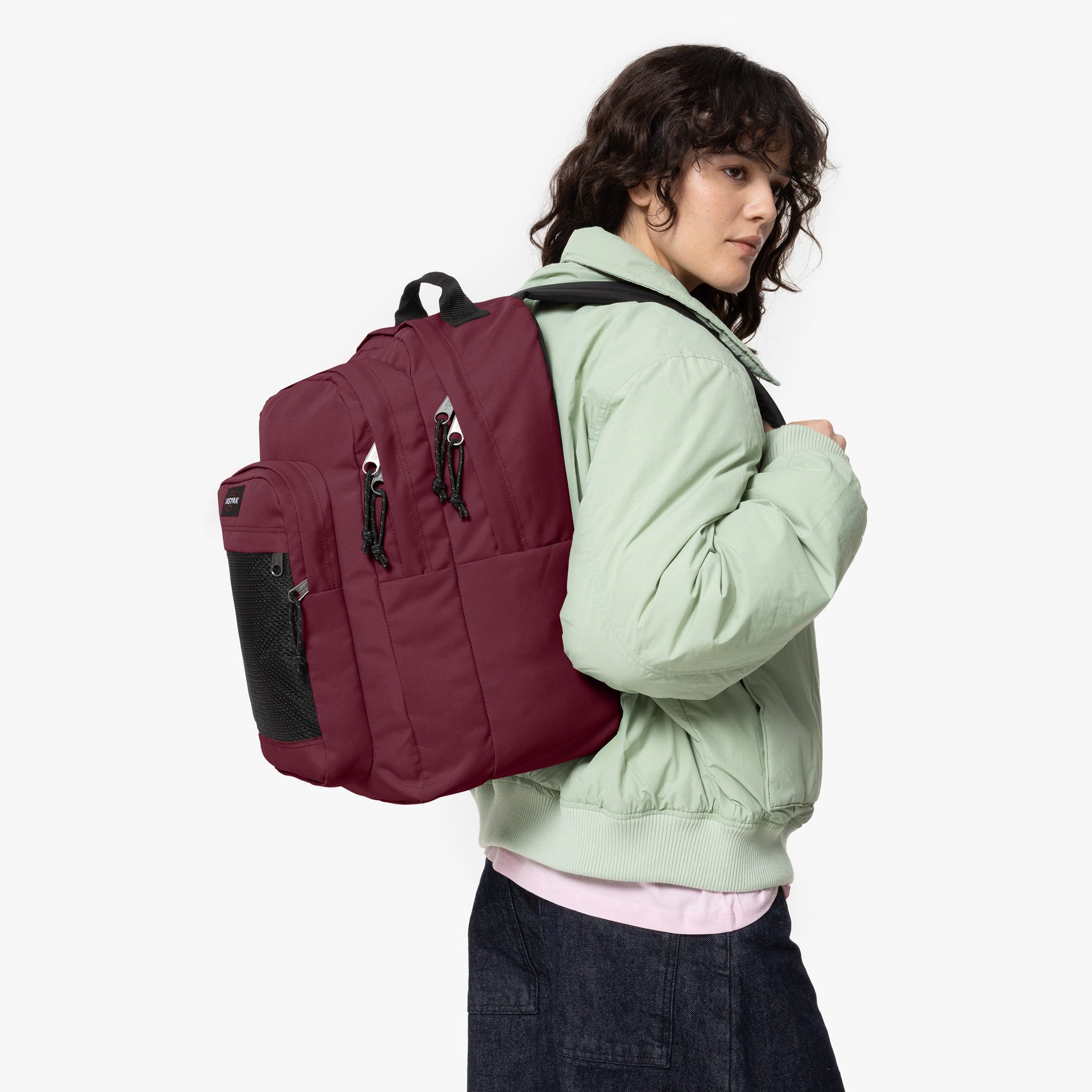 Study Buddy - Maroon Burgundy