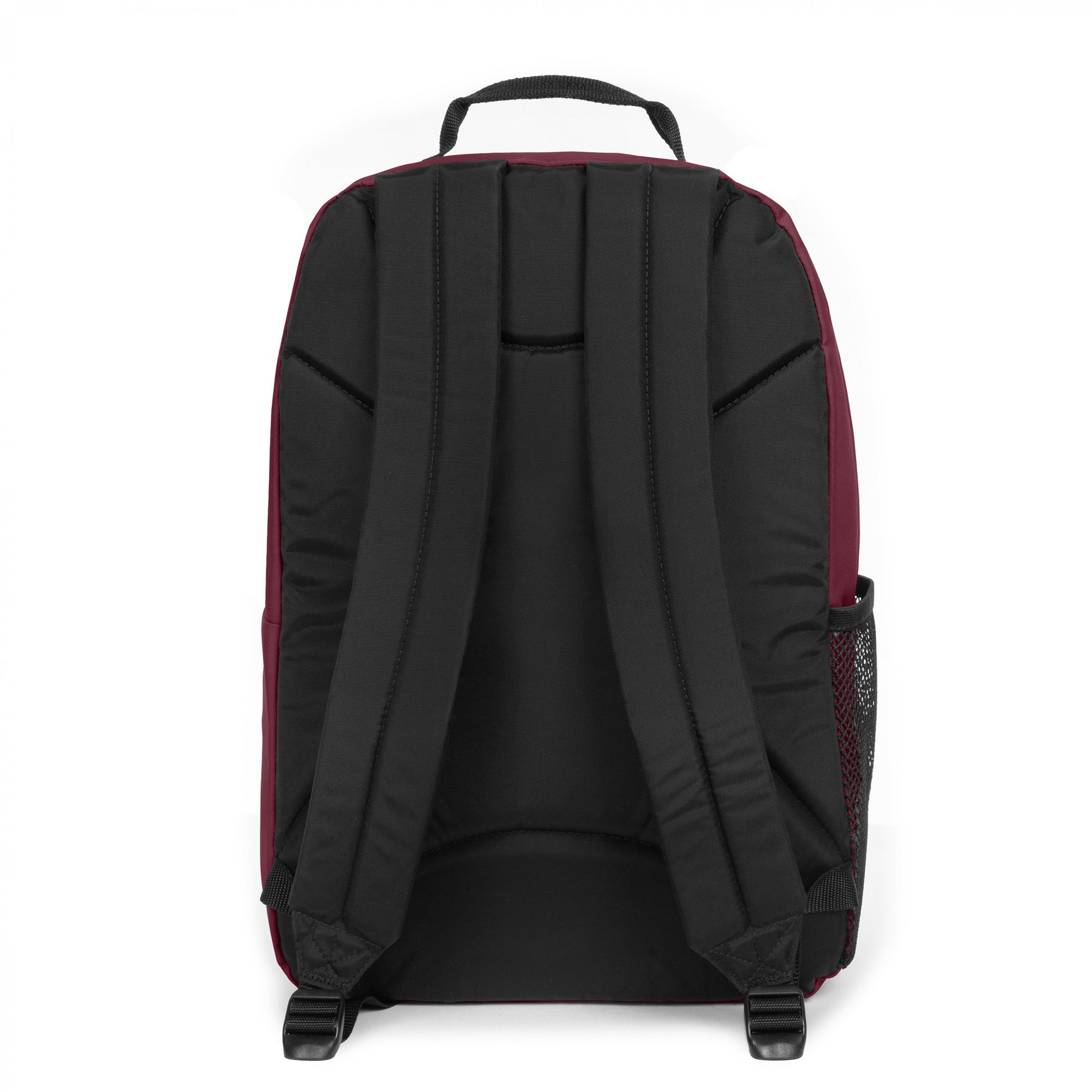 Study Buddy - Maroon Burgundy